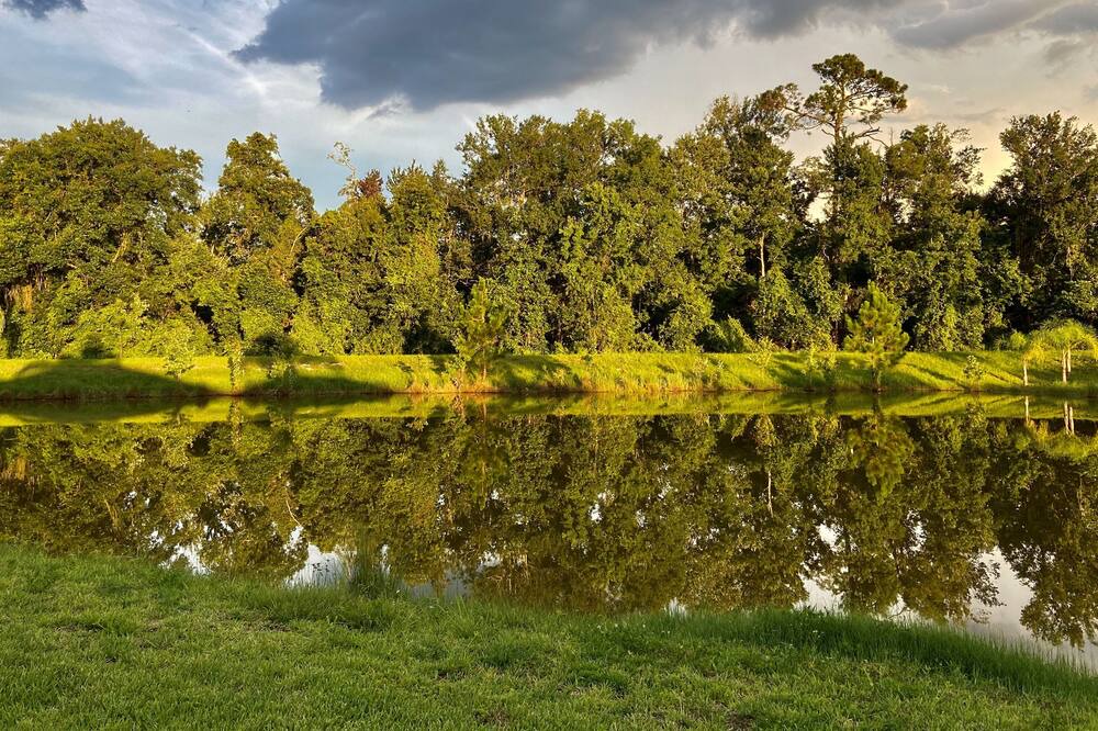 Photo of Others in Lake Wilson Preserve