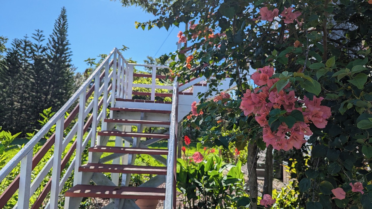 Photo of Outdoor in Northwest Orlando