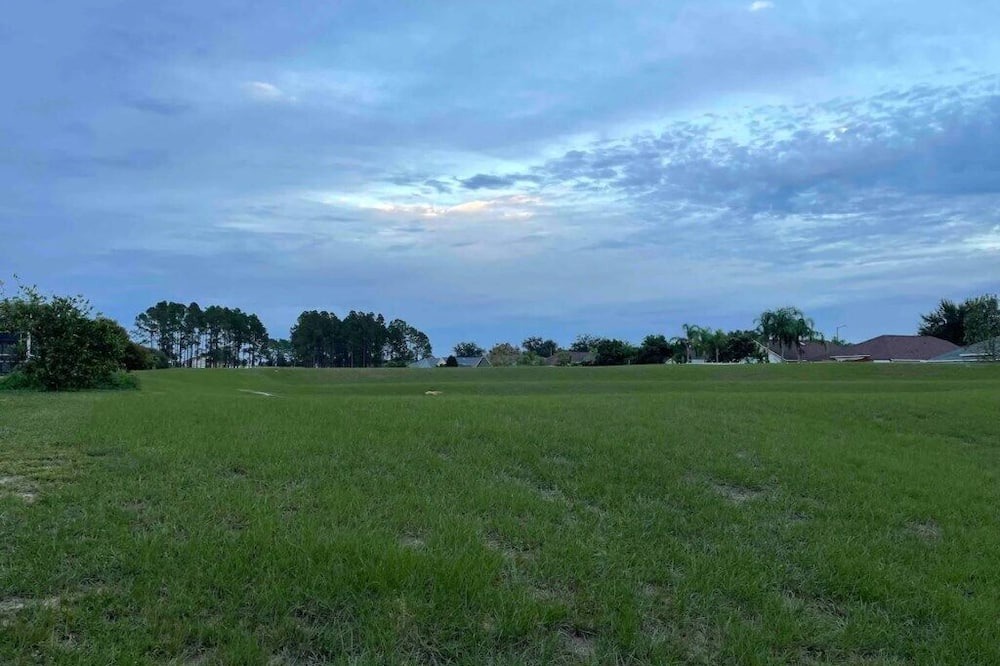 Photo of Others in Florida Pines