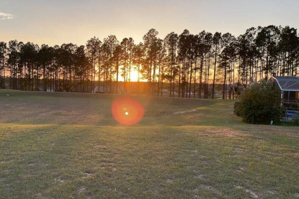Photo of Others in Florida Pines