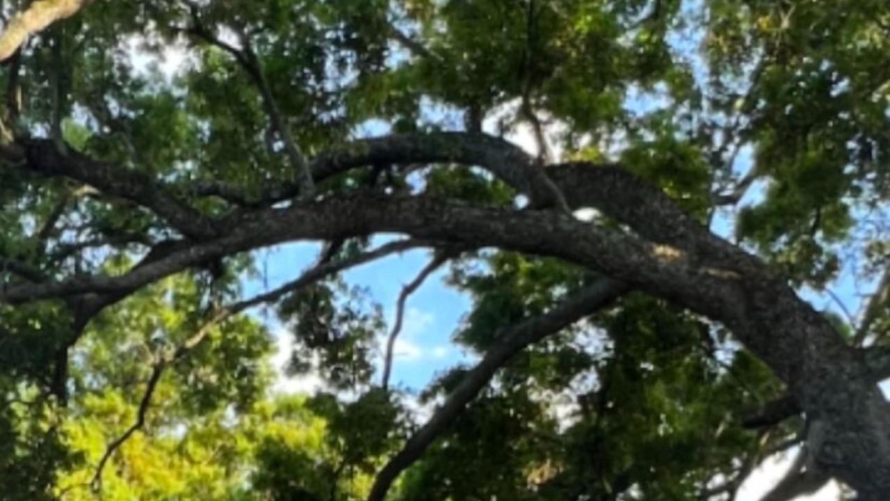 Photo of Outdoor in Conway