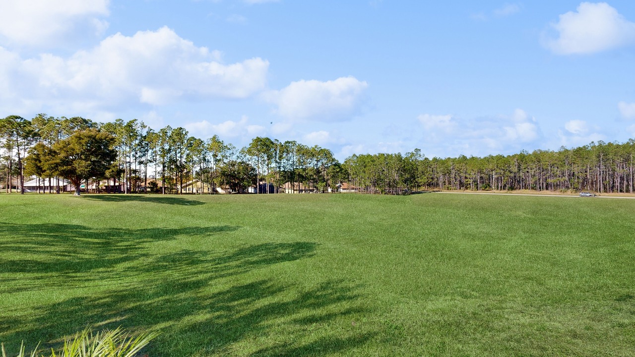 Photo of Others in Florida Pines