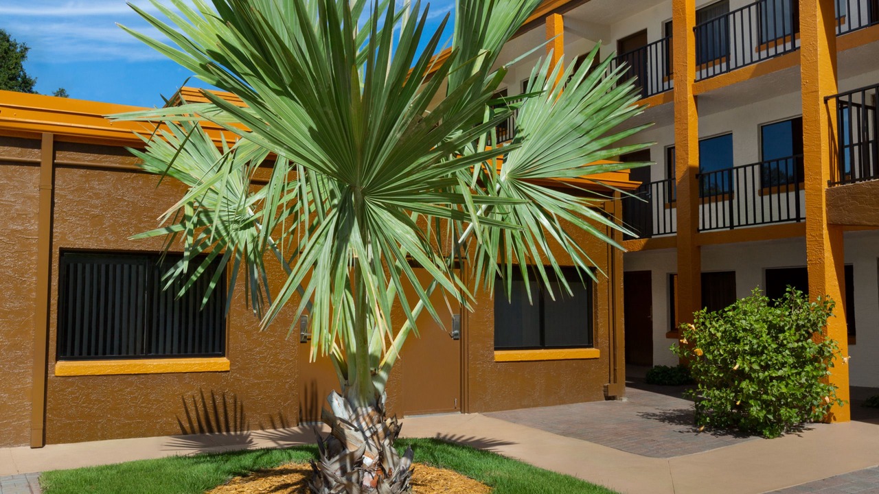 Photo of Outdoor in Fern Park