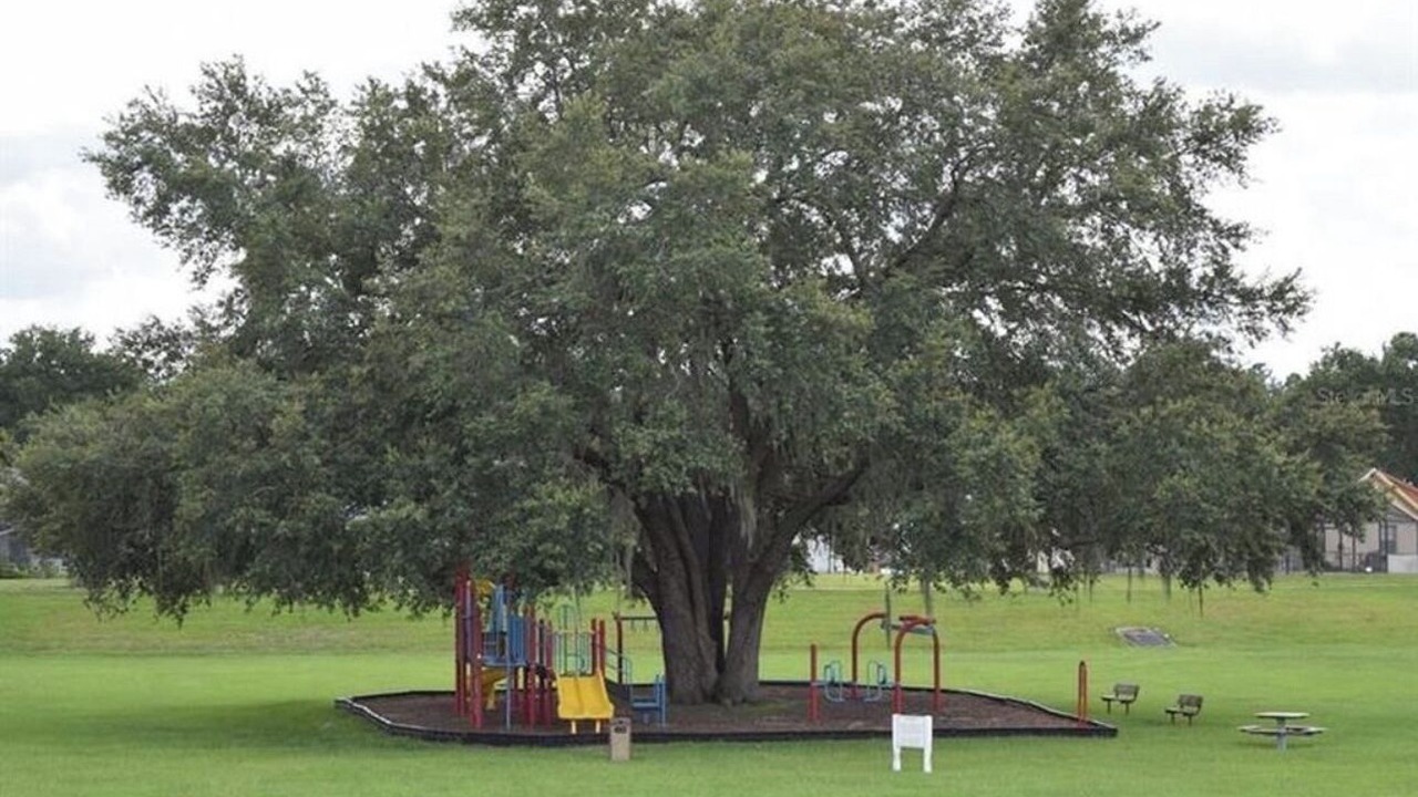 Photo of Others in Indian Ridge