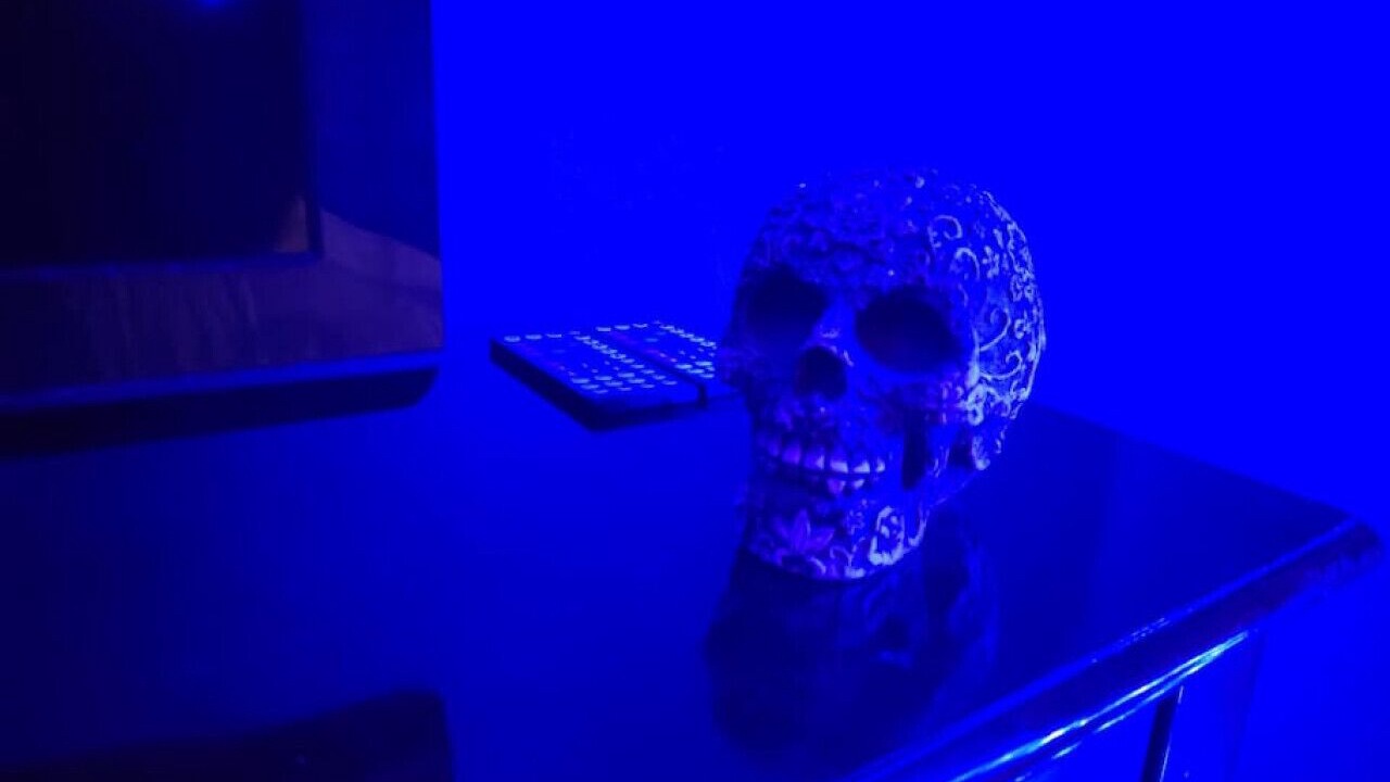 Photo of Others in Seasons