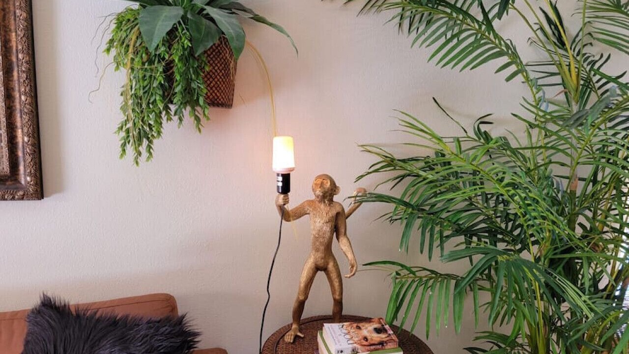 Photo of Others in Seasons