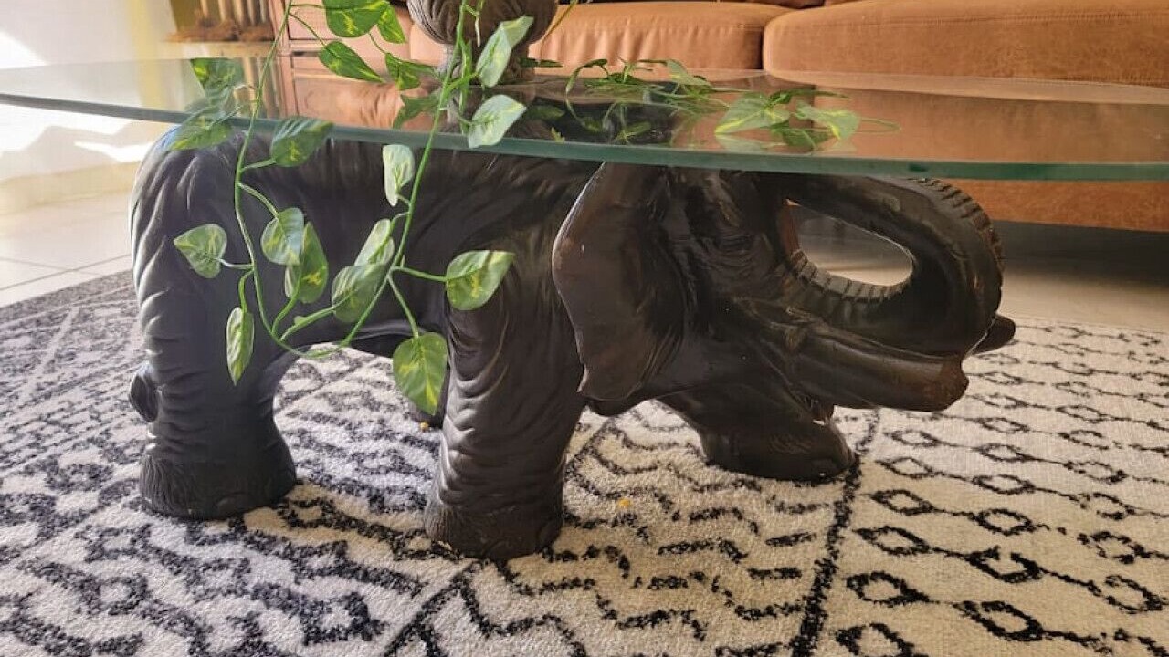 Photo of Others in Seasons