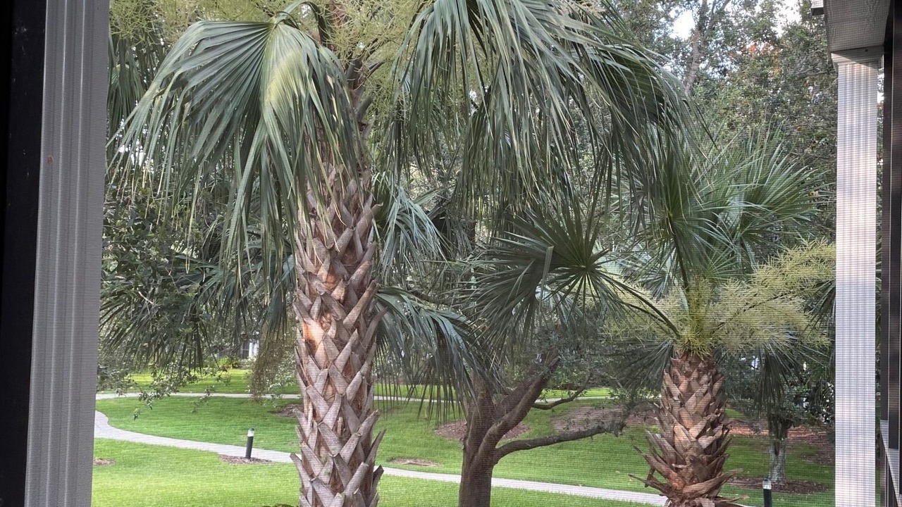 Photo of Outdoor in Bahama Bay