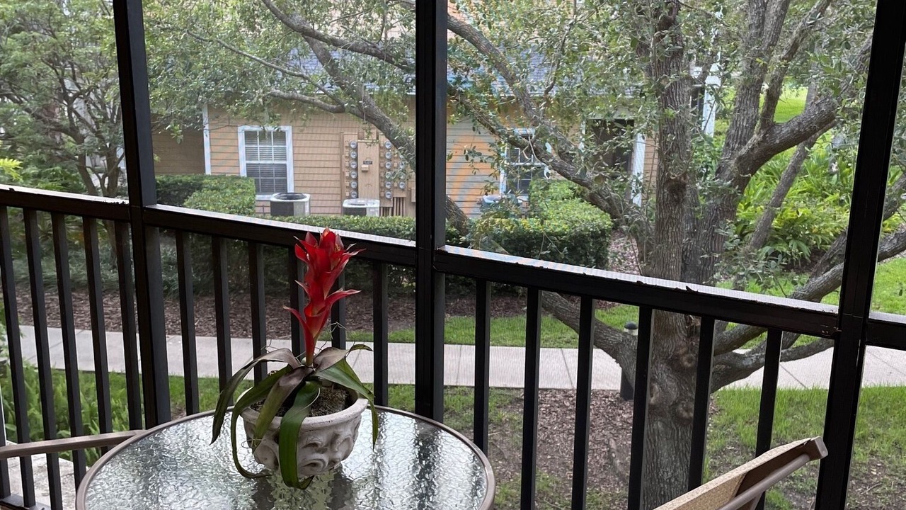 Photo of Outdoor in Bahama Bay