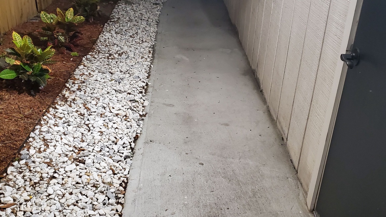 Photo of Outdoor in Southwest Orlando