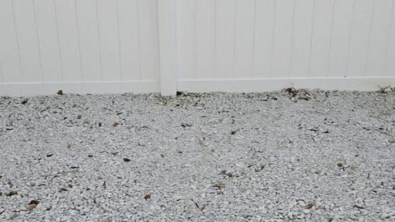 Photo of Outdoor in Lawsona - Fern Creek
