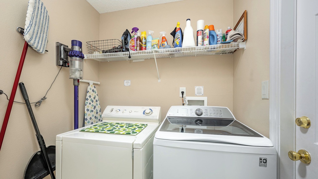 Photo of Others in Orange Tree