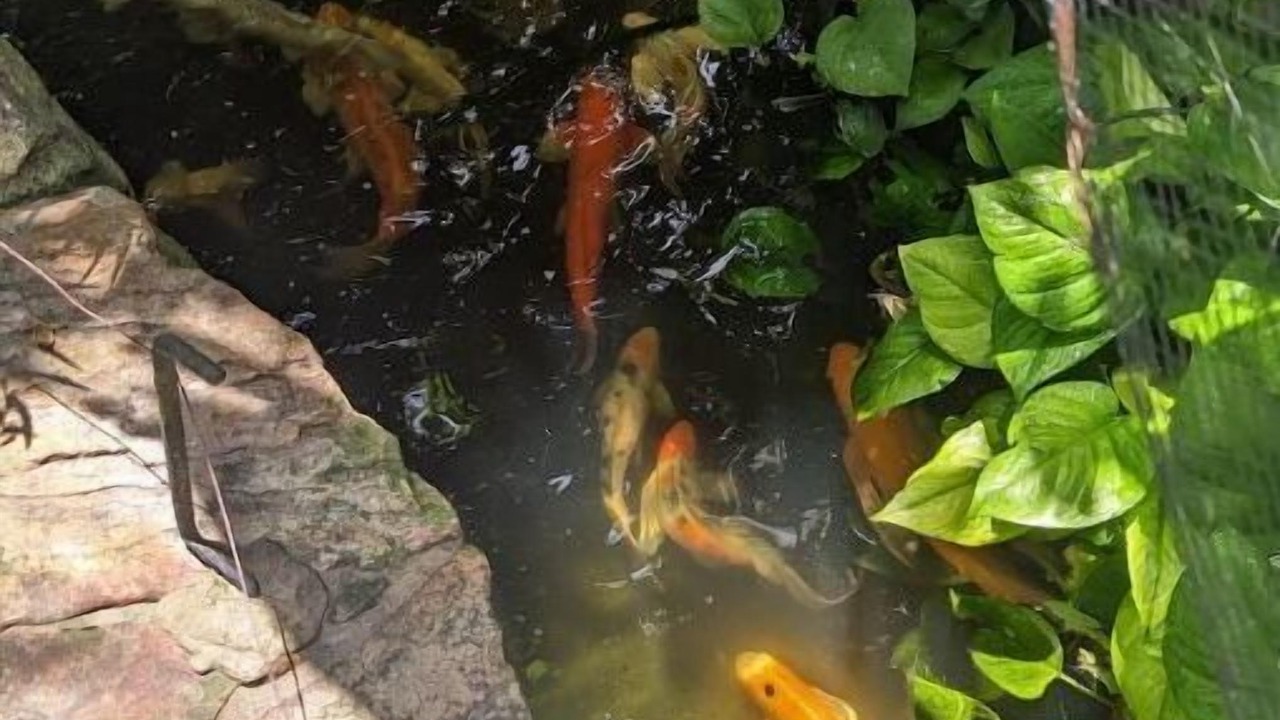 Photo of Outdoor in Edgewood