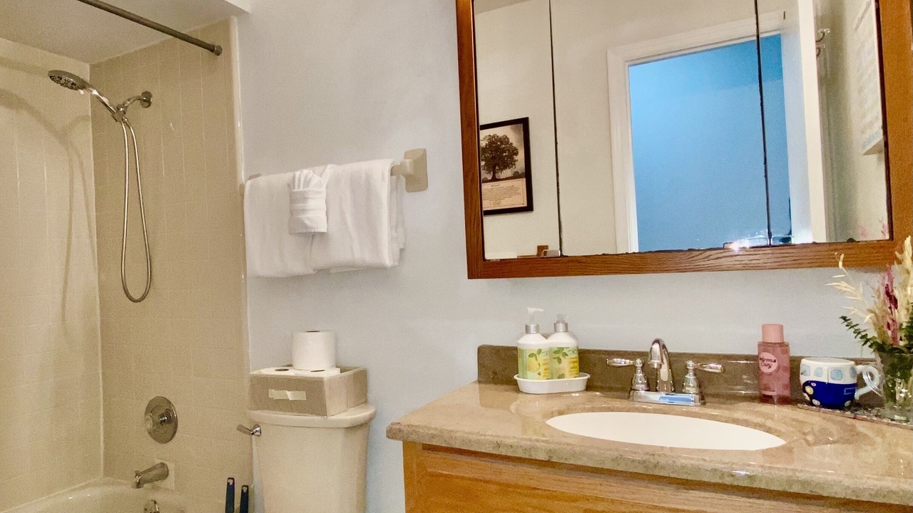 Photo of Bathroom in Buena Ventura Lakes