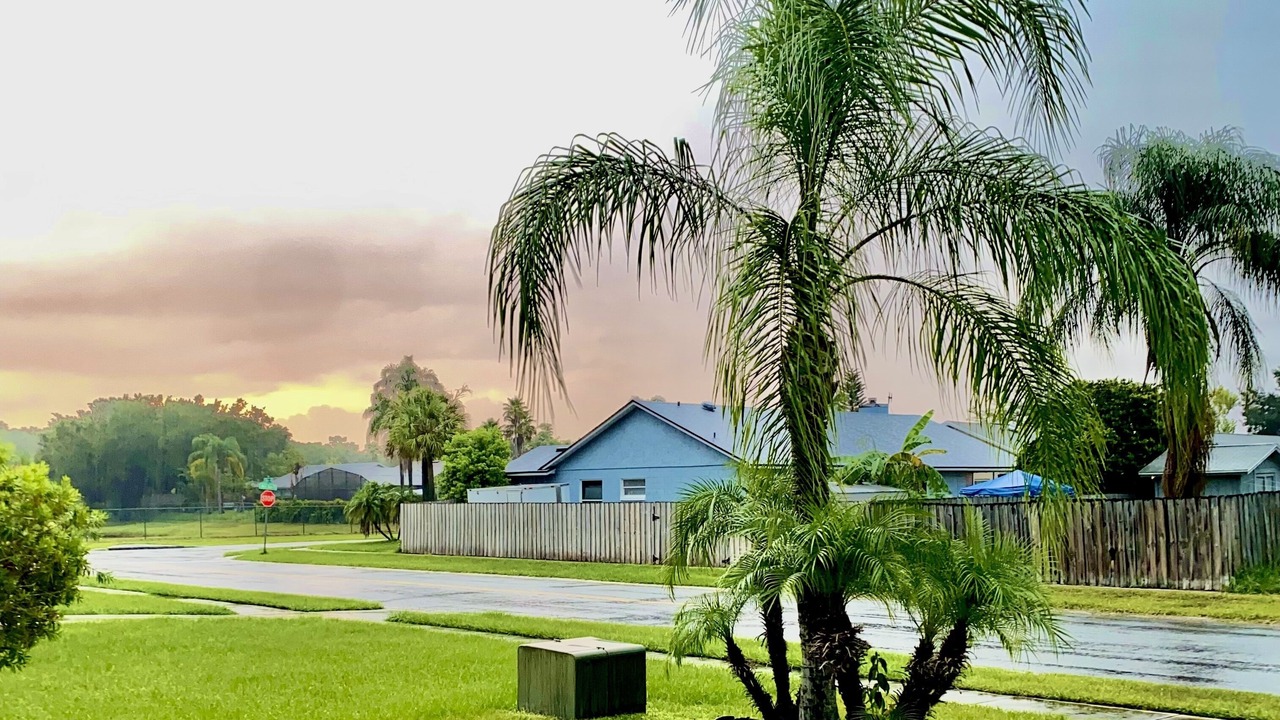 Photo of Others in Kissimmee