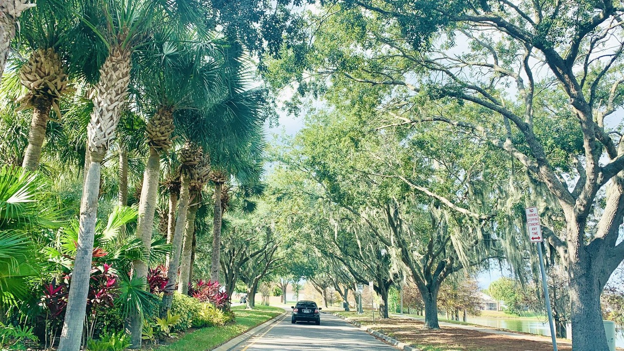 Photo of Outdoor in Lakeside Estates