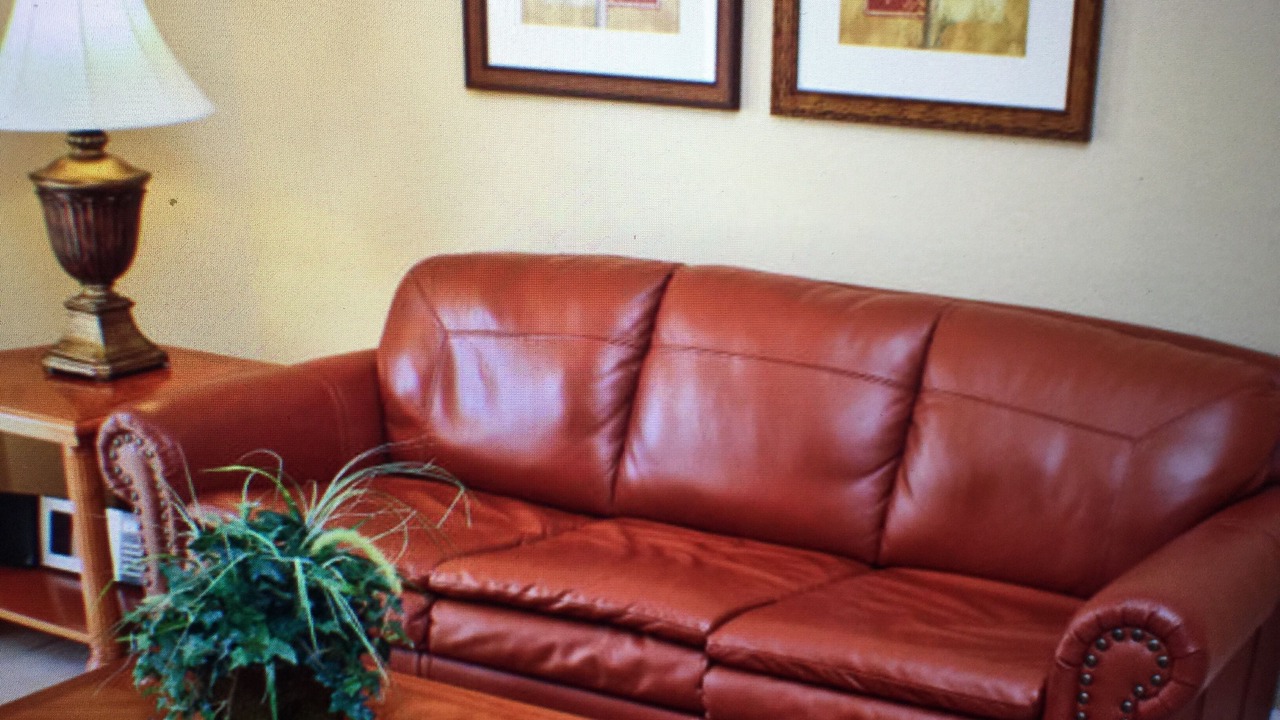 Photo of Livingroom in Southwest Orlando