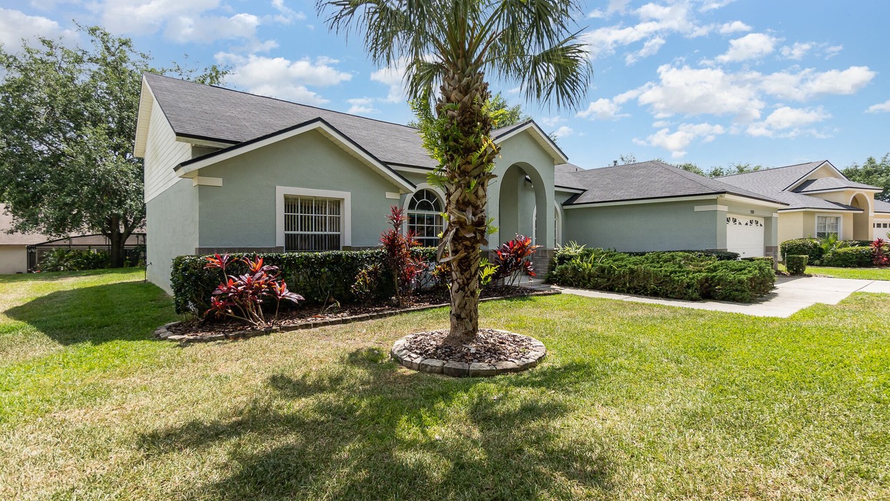 Photo of Others in Orange Tree