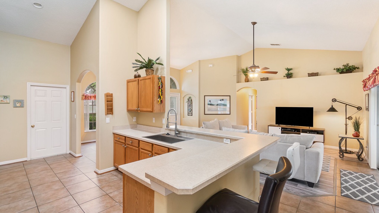 Photo of Others in Orange Tree