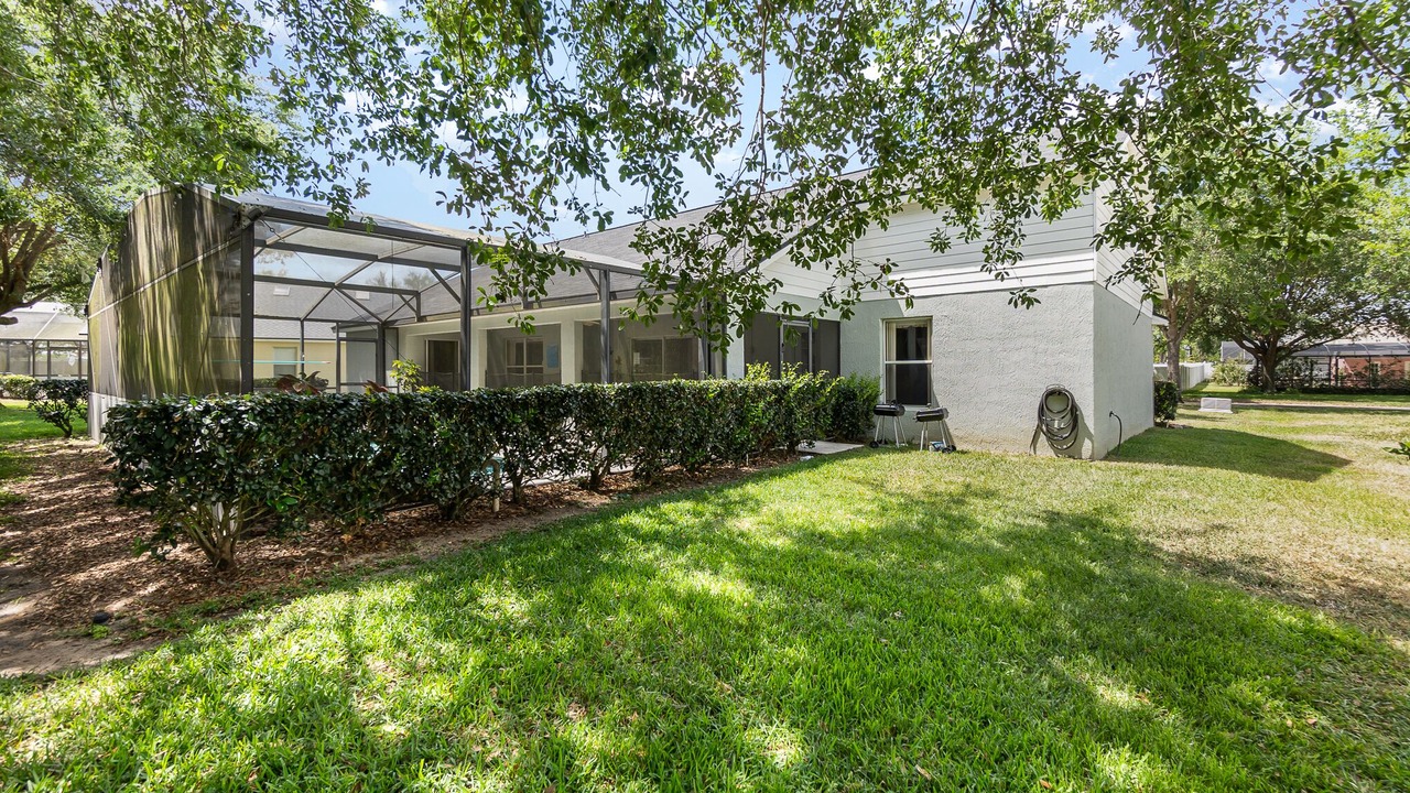 Photo of Others in Orange Tree