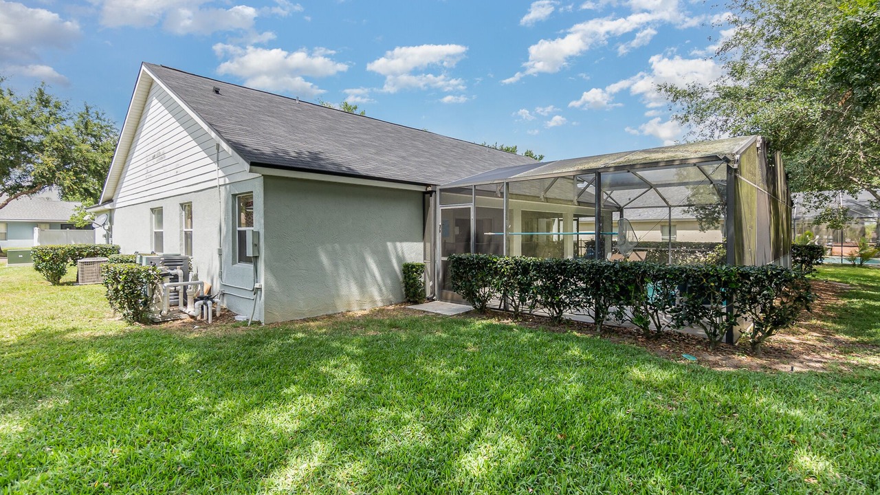 Photo of Others in Orange Tree