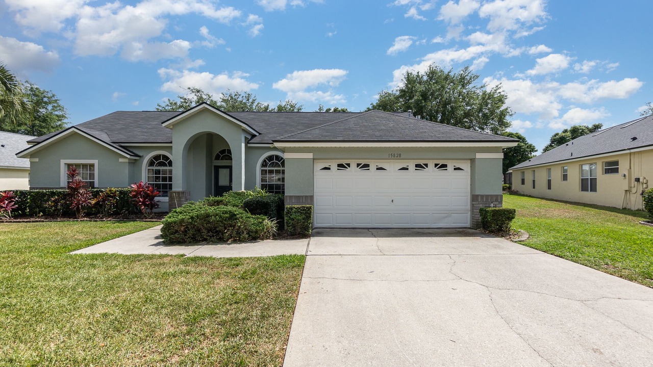 Photo of Others in Orange Tree