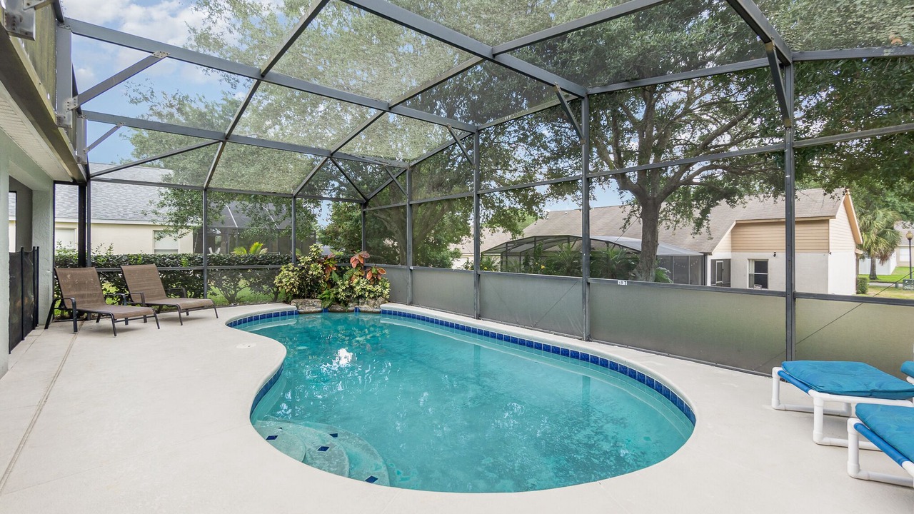 Photo of Others in Orange Tree