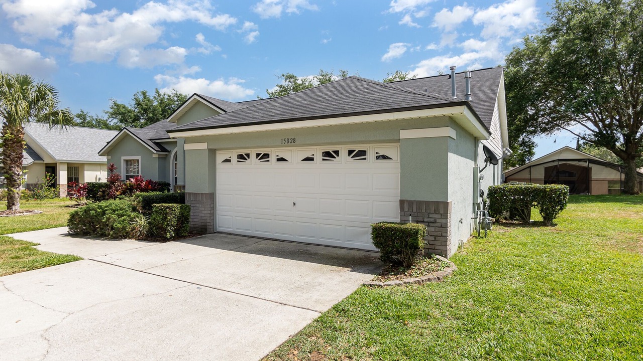 Photo of Others in Orange Tree