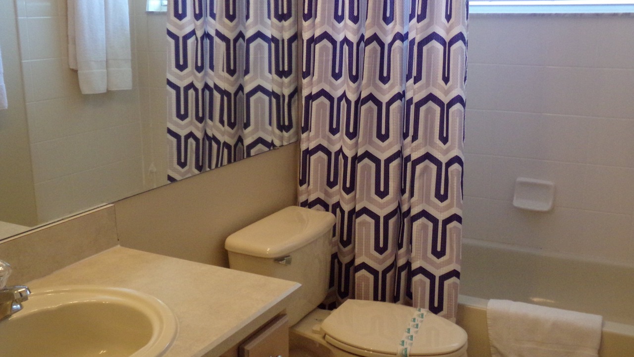 Photo of Others in Orange Tree