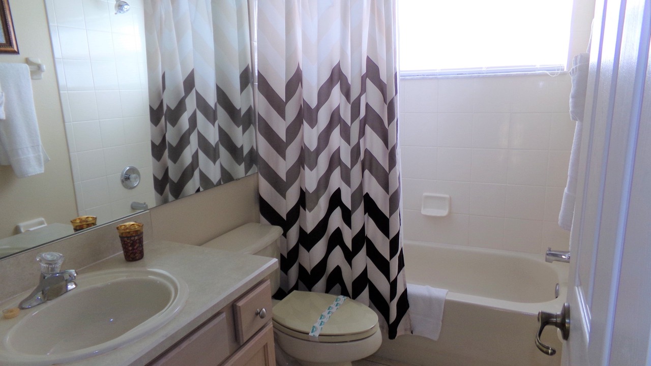 Photo of Others in Orange Tree