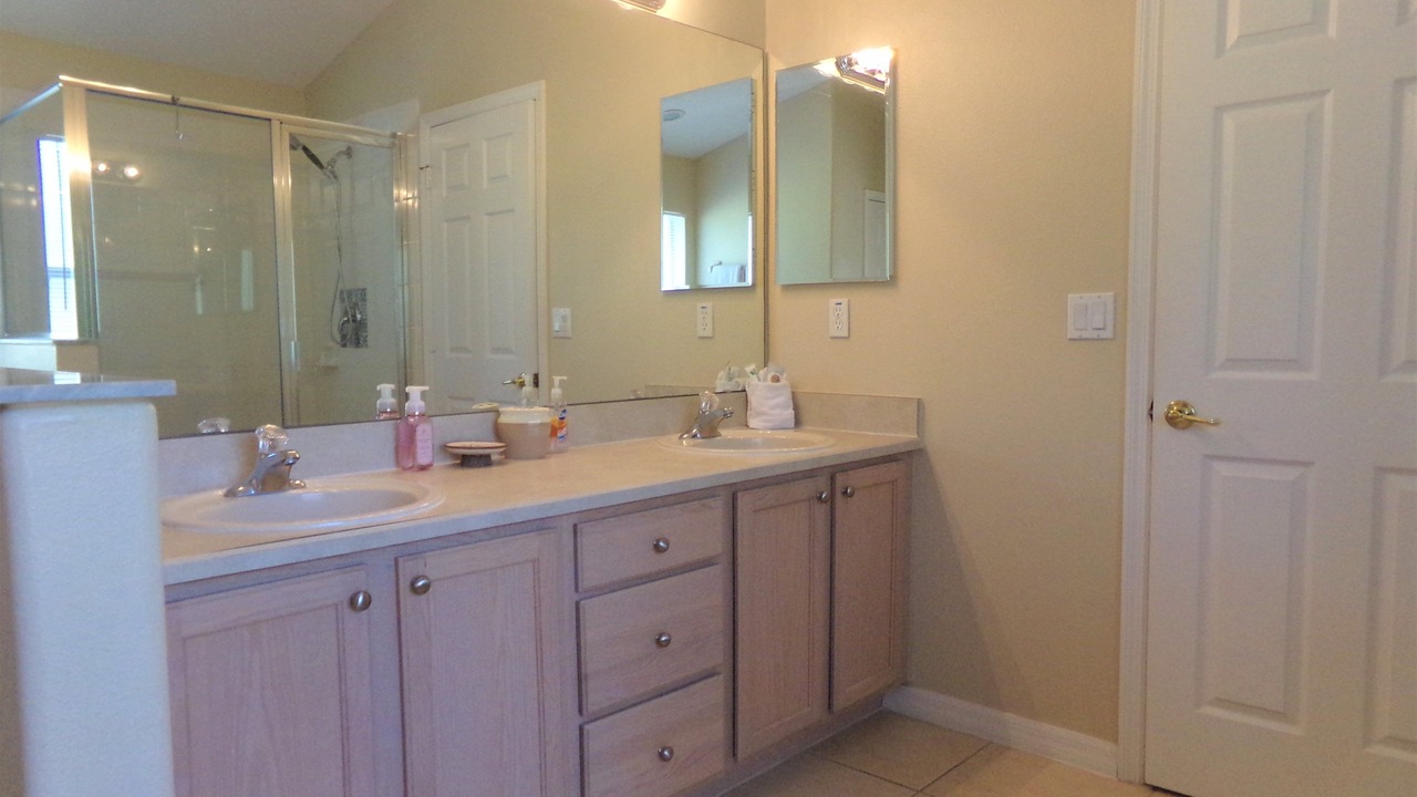 Photo of Others in Orange Tree