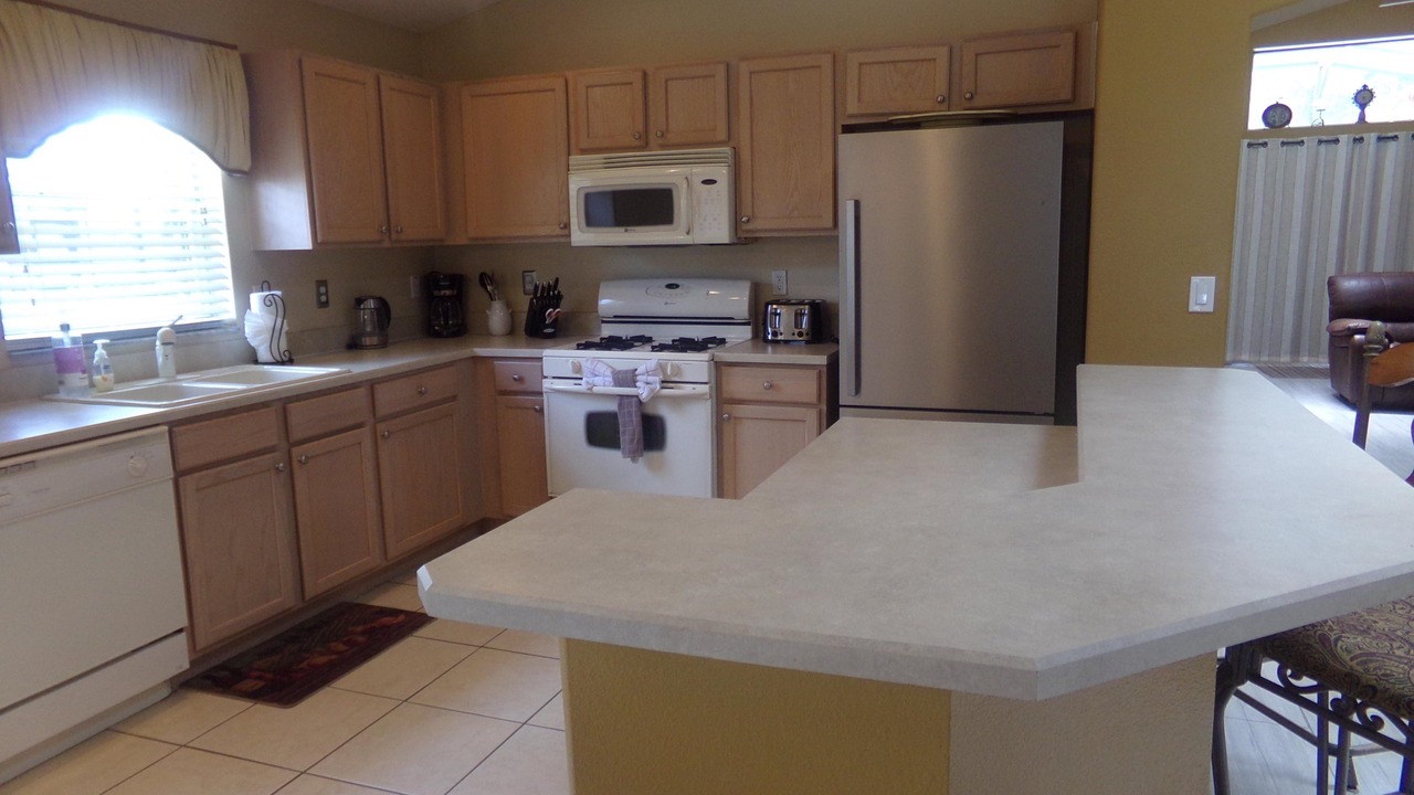 Photo of Others in Orange Tree