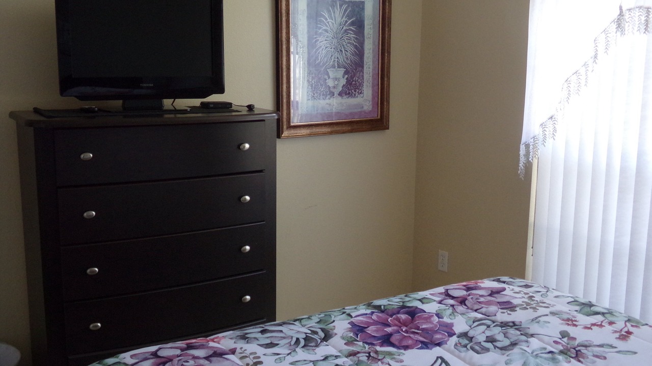 Photo of Others in Orange Tree