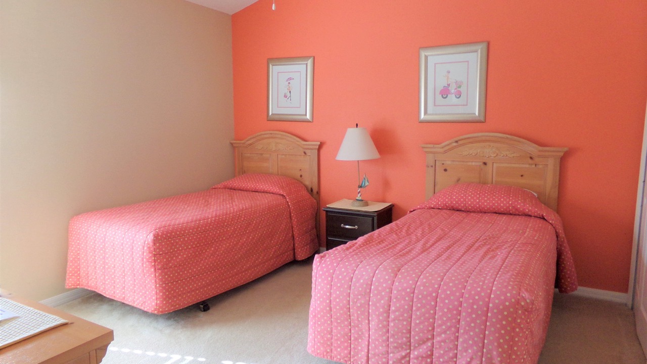 Photo of Others in Orange Tree