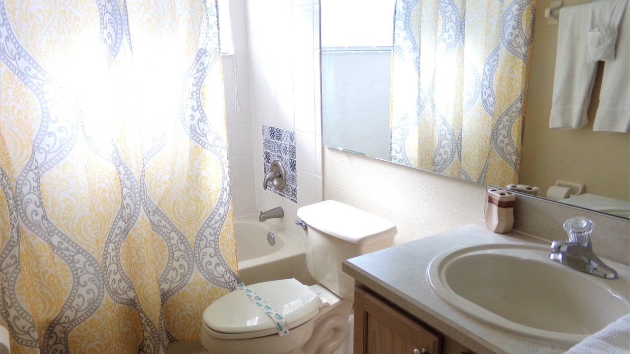 Photo of Others in Orange Tree