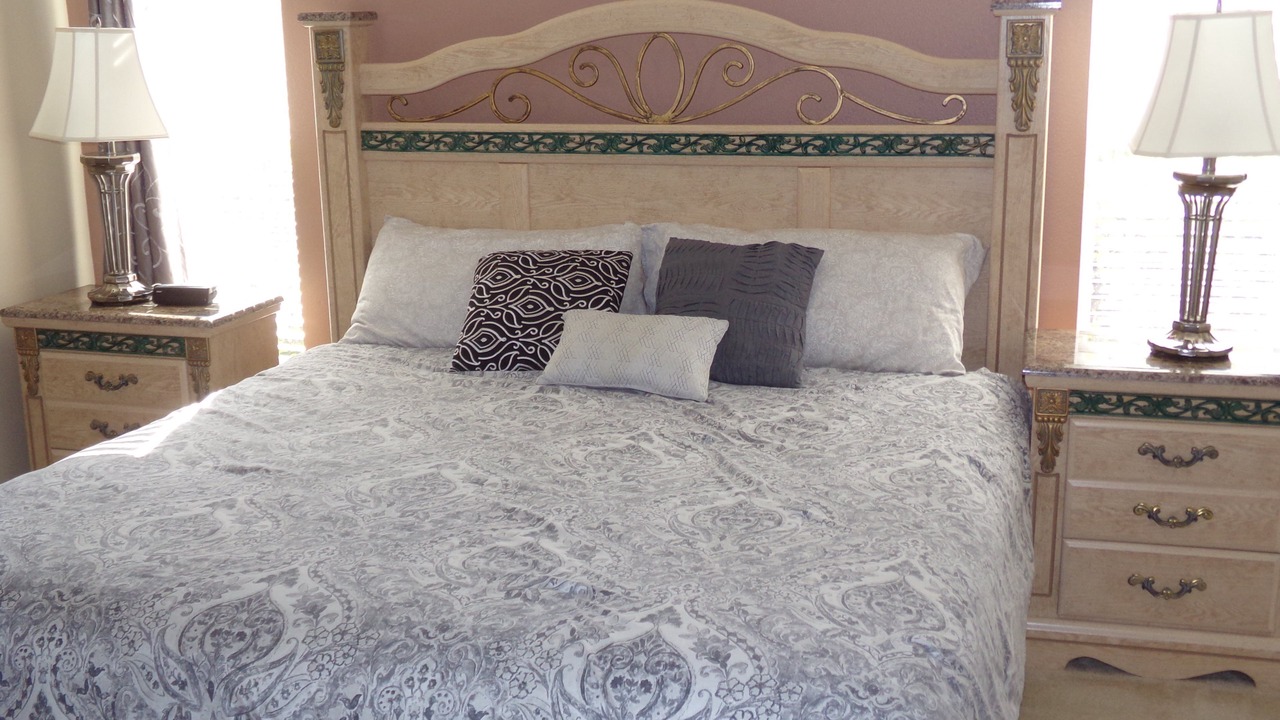 Photo of Others in Orange Tree