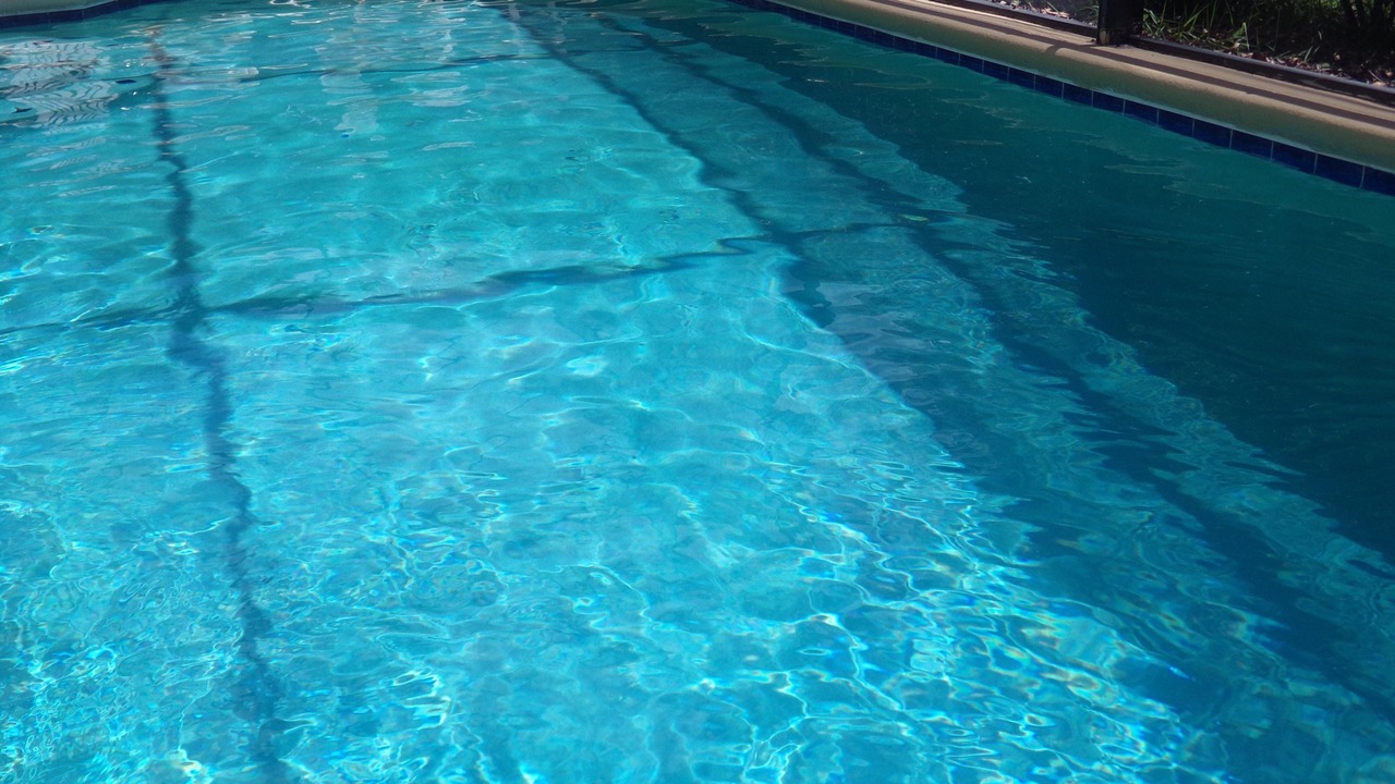 Photo of Others in Orange Tree