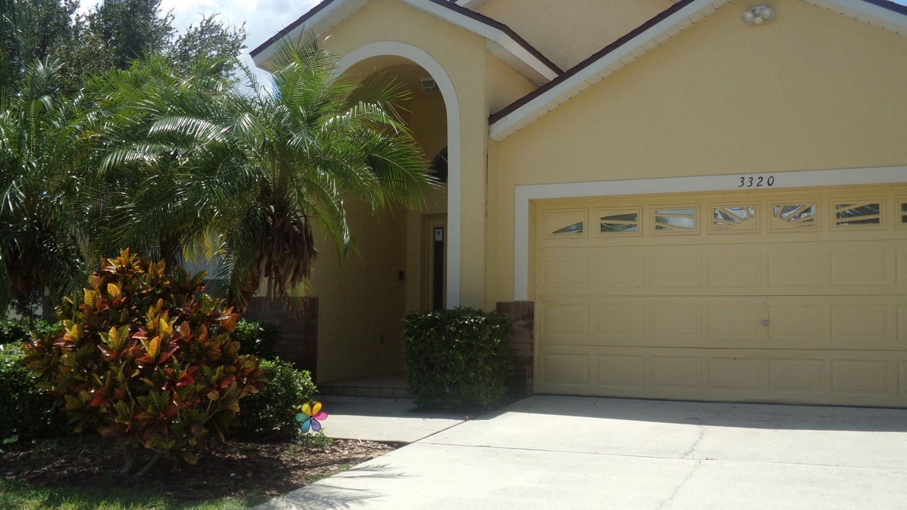 Photo of Others in Orange Tree