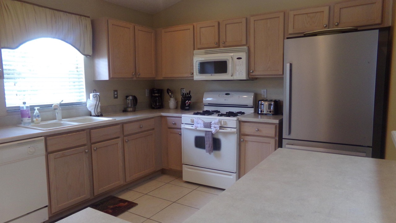 Photo of Others in Orange Tree