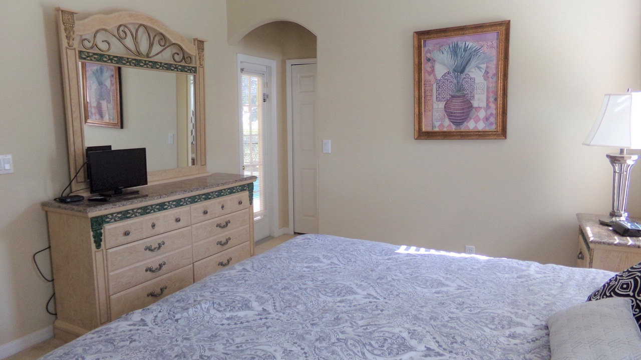 Photo of Others in Orange Tree