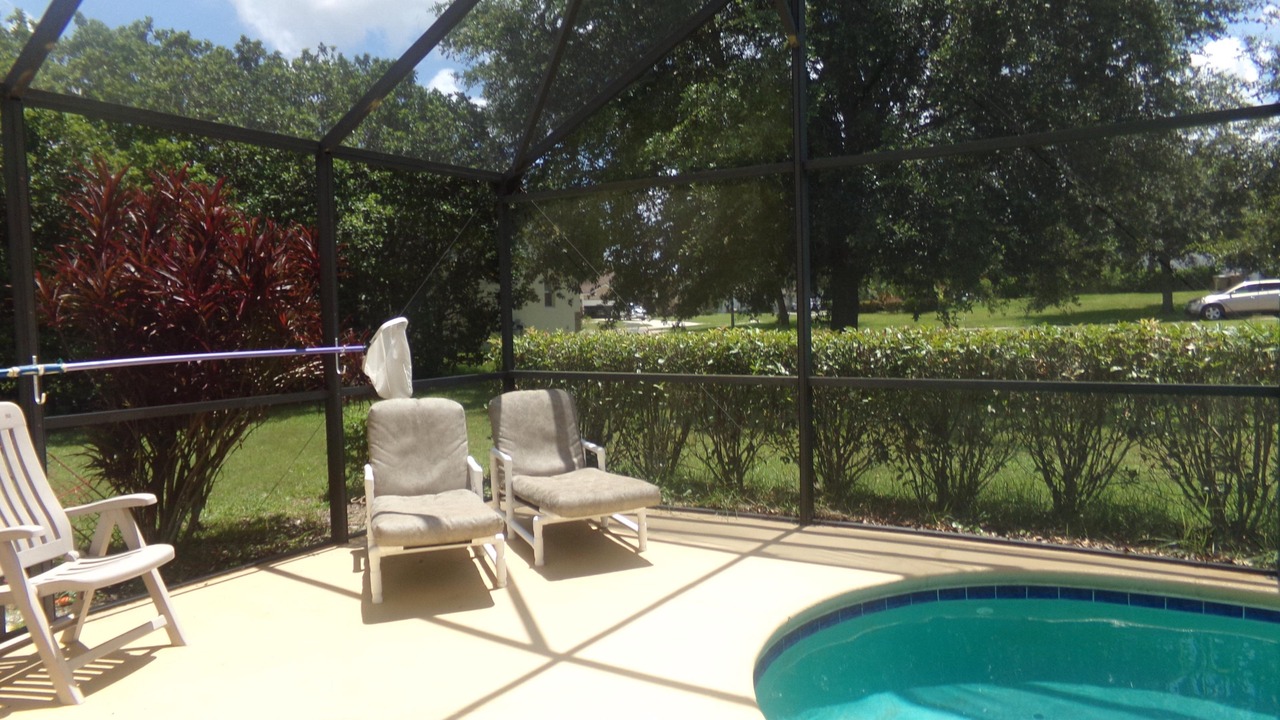 Photo of Others in Orange Tree