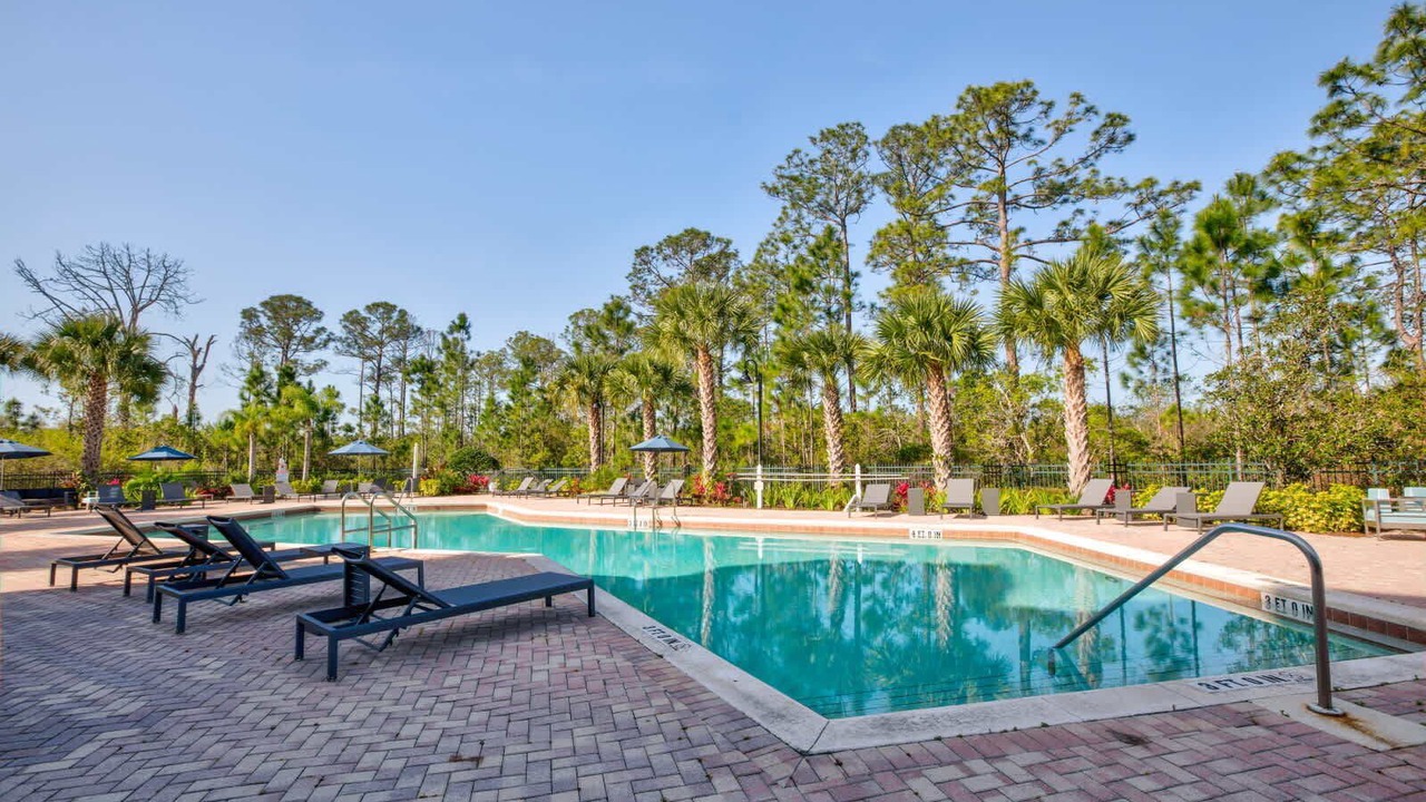 Photo of Outdoor in West Kissimmee