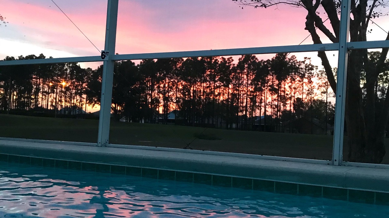 Photo of Outdoor in Florida Pines