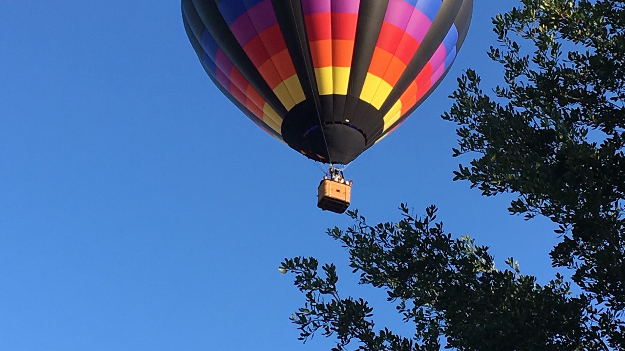 Photo of Others in Florida Pines