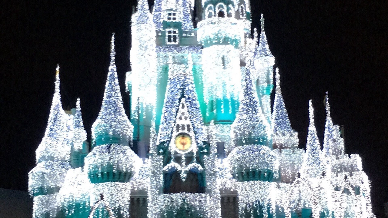 Photo of Others in Florida Pines