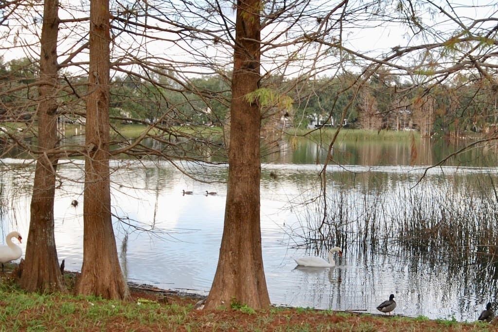 Photo of Others in Lake Davis - Greenwood