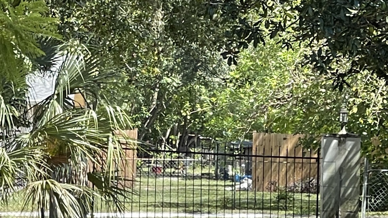 Photo of Others in Apopka