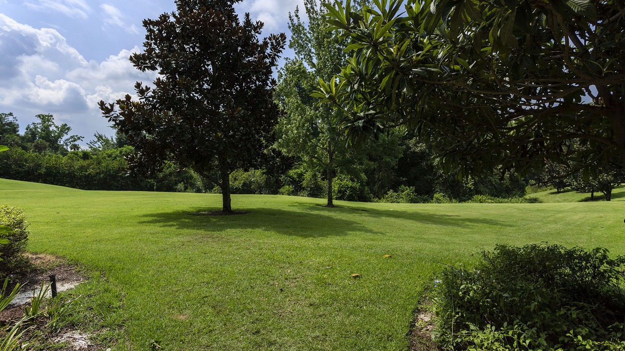 Photo of Outdoor in Reunion