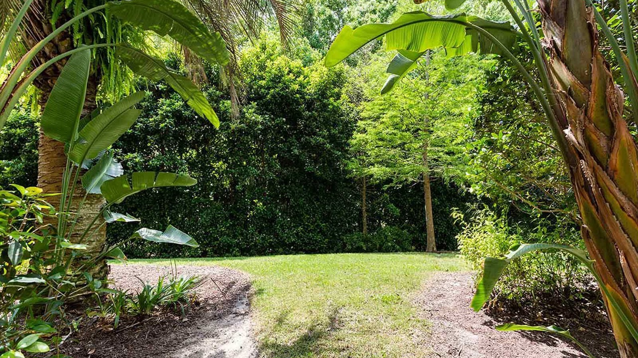 Photo of Outdoor in Reunion