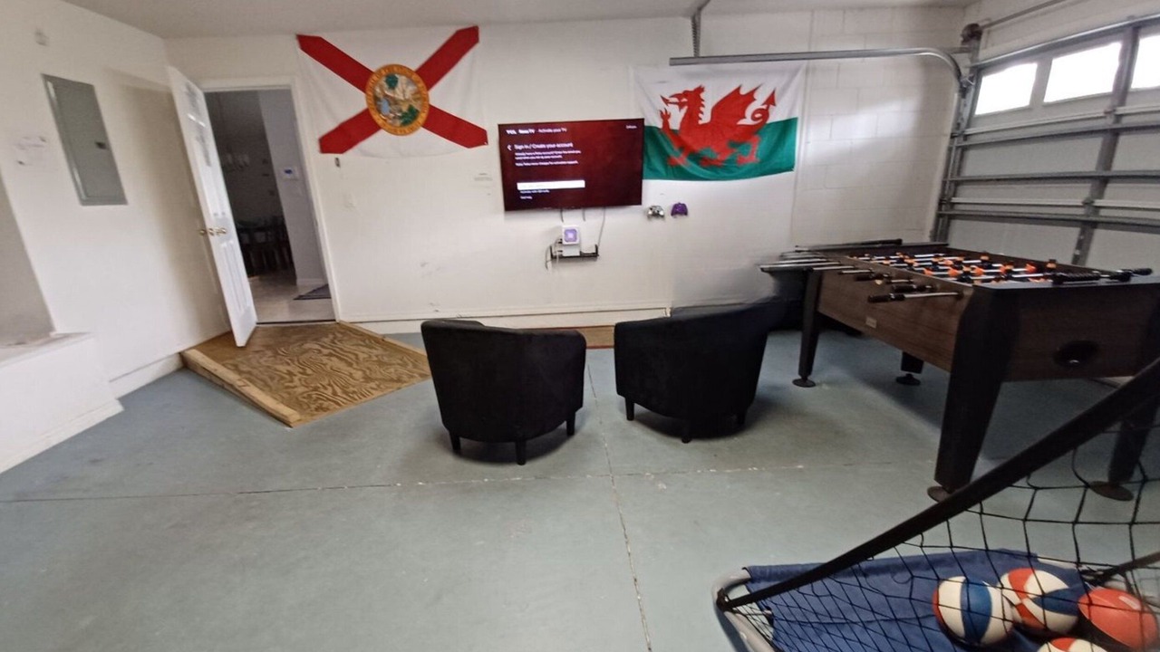 Photo of Others in Orange Tree